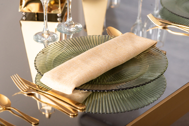 Plato presentación 9